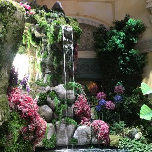 IMG_5366.jpeg