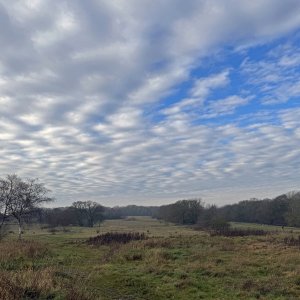 January at Deangate.jpg