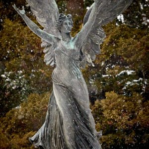 2026-01-18 ~ R52_5231.jpg