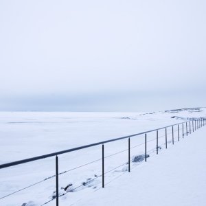 2019-02-02 | 5d4_7146.jpg