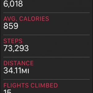 STEPS.PNG
