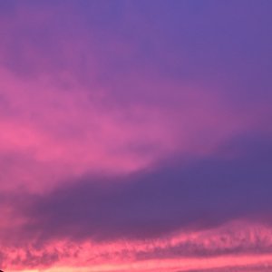 AD601002-CC70-4F6C-9CE1-AE3F50527C60.jpeg