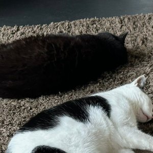 Screenshot_20260122_132004_One UI Home.jpg