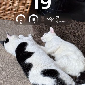 Screenshot_20260122_131950_One UI Home.jpg