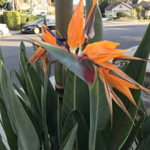 IMG_5572.jpeg