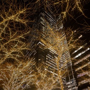 2026-01-23 ~ A7C02981.jpg