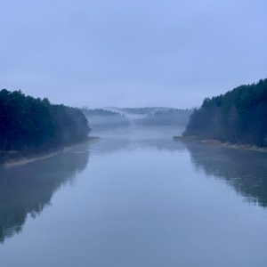 IMG_0590.jpeg