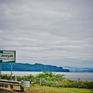 washingtonline - 1.jpeg