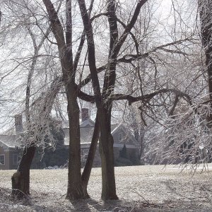 ice storm 08.JPG