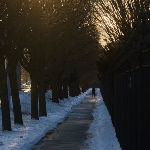 2026-01-26 ~ R52_7482.jpg