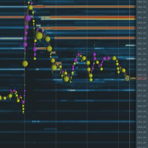 2026-01-29 17_20_17-AAPL .jpg