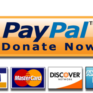 PayPal-Donate-Button-High-Quality-PNG-2834521873.png