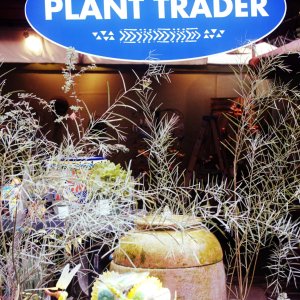 Media 'DSCF2160.jpg' in category 'Digital Photography'