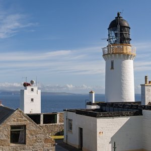DunnetHead20090731.jpg