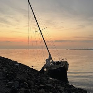 IMG_4963.jpeg