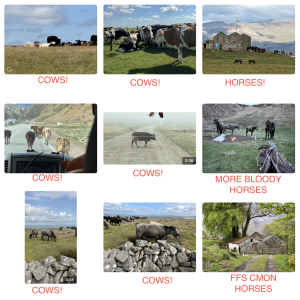 Screenshot 2026-02-04 at 14.23.48.png