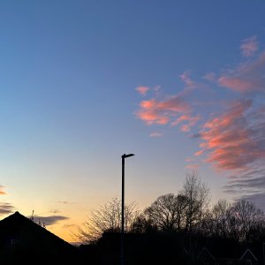 Media 'IMG_7880.jpeg' in category 'iPhone'