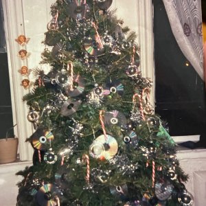 IMG_6941.jpeg