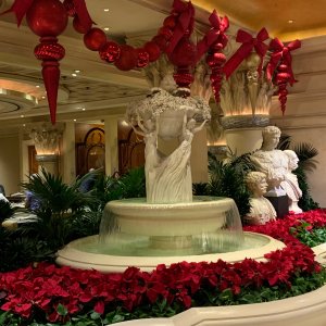 IMG_1885.jpeg