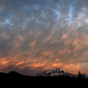 DSC_0030.jpg