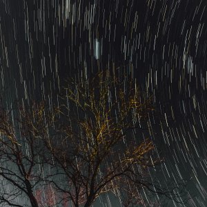 IMG_1972.jpeg