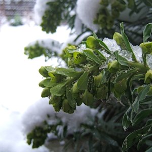 DSCF1561.JPG