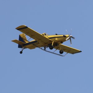 IMG_4050.jpg