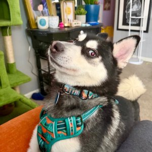 IMG_3542.jpeg