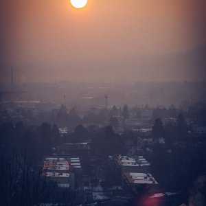 IMG_3150.jpeg