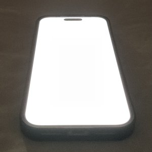 IMG_1568.jpeg