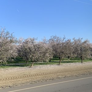 IMG_2292.jpeg