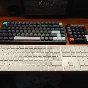 IMG20260211170716.jpg