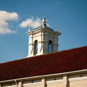 IMG_2991.jpeg