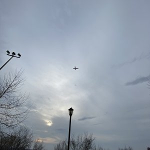 IMG_0136_Original.jpeg