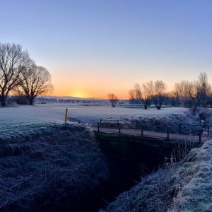 IMG_7926.jpeg