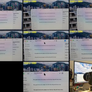 collage.jpg