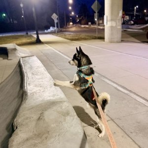 IMG_3873.jpeg