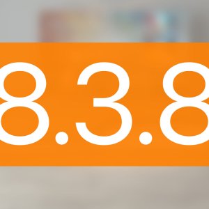 838.jpg