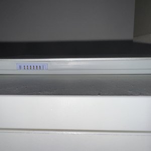 IMG_3364.jpeg