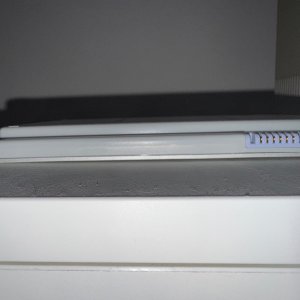 IMG_3363.jpeg
