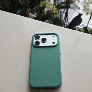 IMG_2374.jpeg