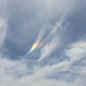 IMG_8591.jpeg