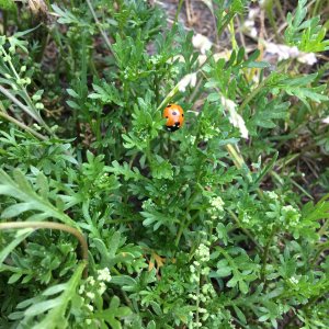 IMG_8577.jpeg