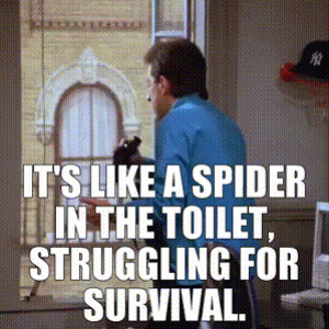 8946622b-9e1e-4f89-b27d-23bd747054c9_text.gif