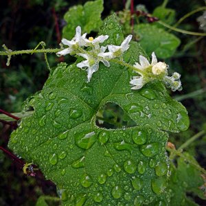 IMG_20260212_092155cropxv.jpg
