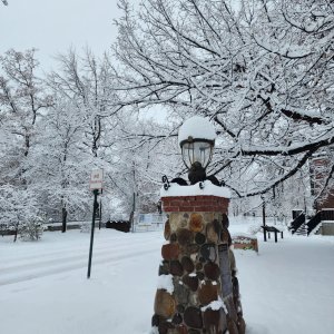 IMG_1662.JPG