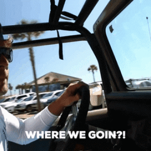 1771455536920.gif