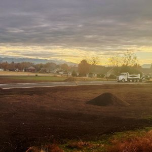 hollyway - 1.jpeg