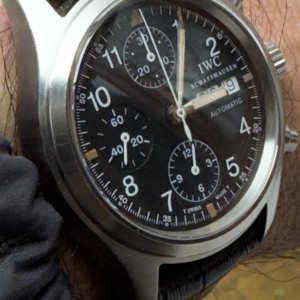 IWC.jpg