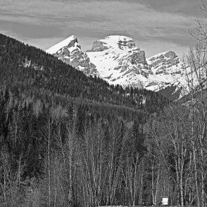 DSC_0044B2.jpg